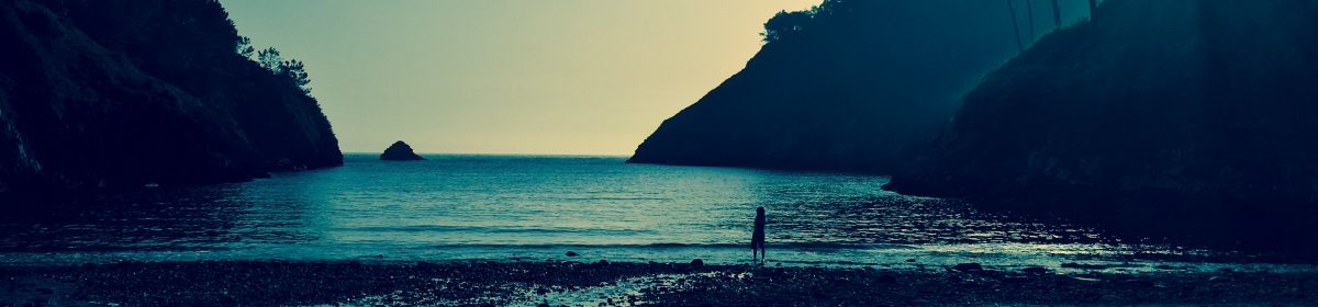 The adventures of Daisy the bus