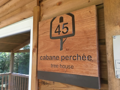 Tree house